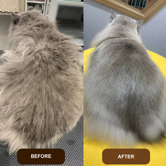 3 in 1 Pet Pamper Brush Purple